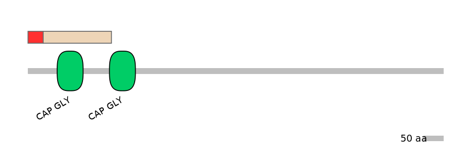 DreEX0022125-INC
