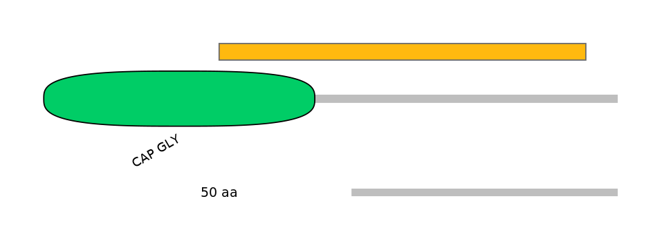 DreEX0022129-EXC