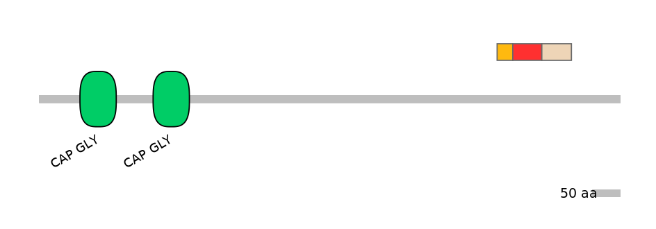 DreEX0022137-INC