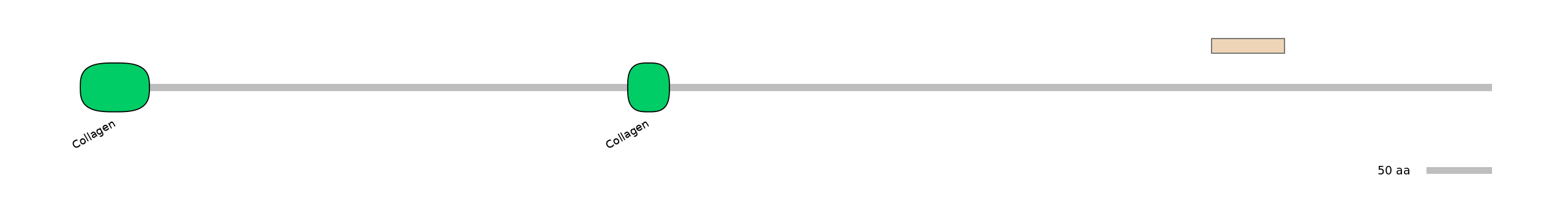 DreEX0023170-EXC