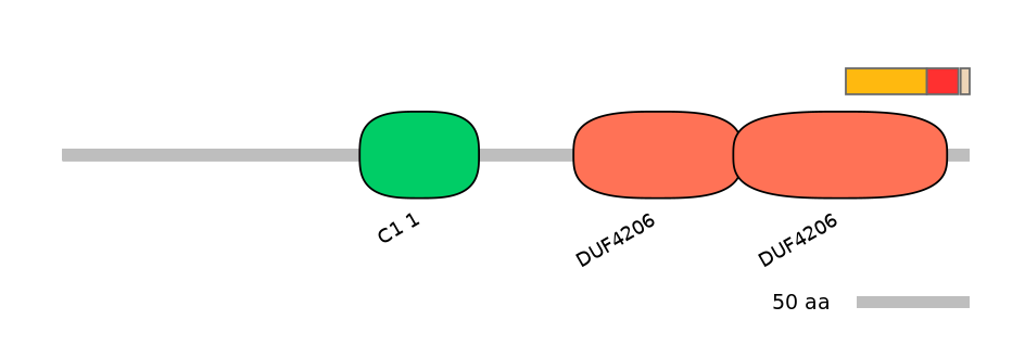 DreEX0026389-INC