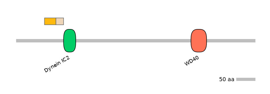 DreEX0028594-EXC