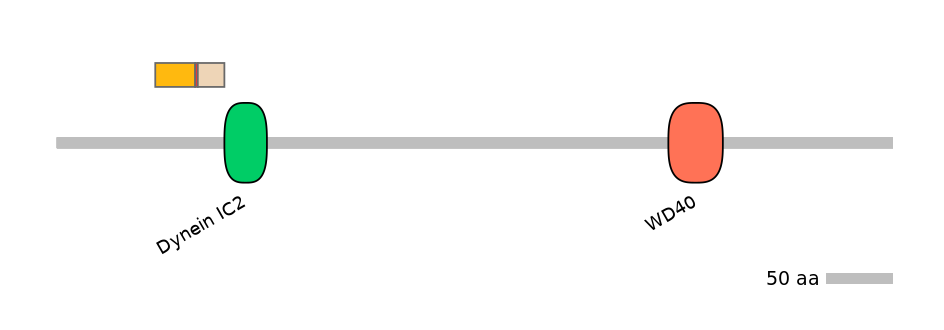 DreEX0028594-INC