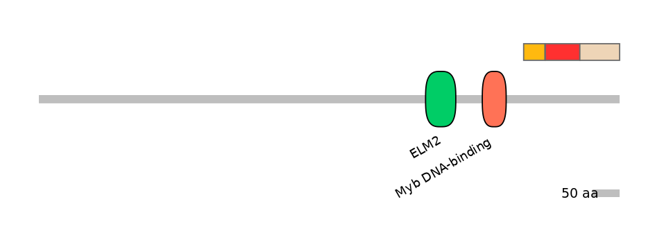 DreEX0029737-INC
