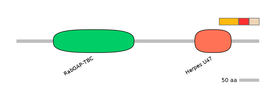 DreEX0030972-INC