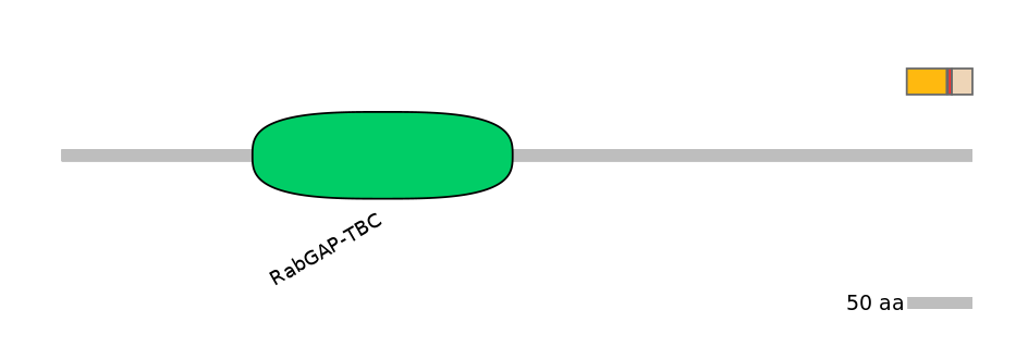 DreEX0030978-INC
