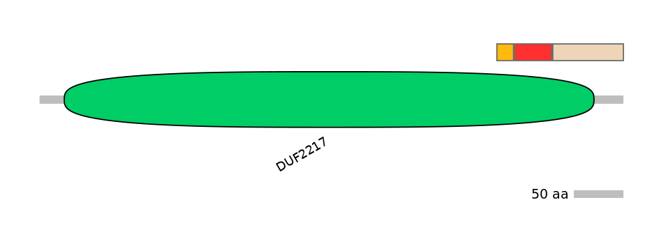 DreEX0031951-INC