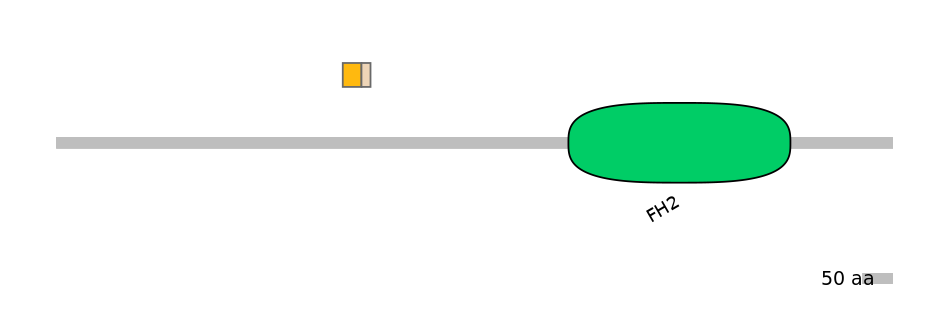 DreEX0032779-EXC