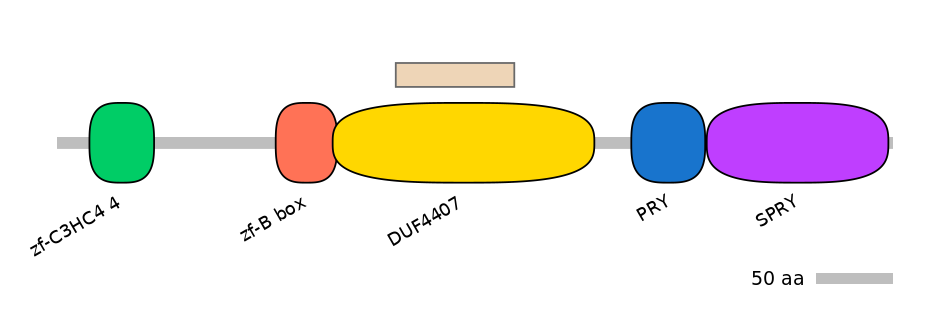 DreEX0033702-EXC