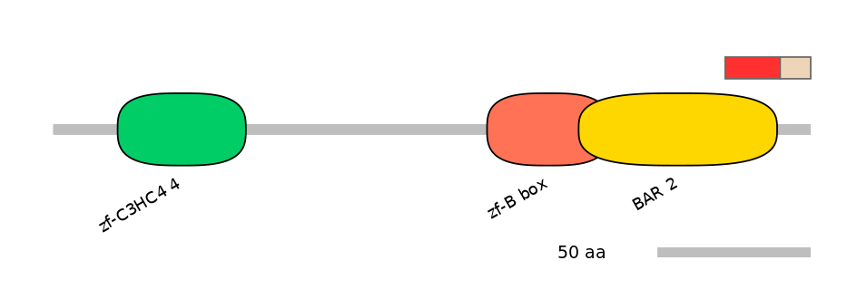 DreEX0033703-INC