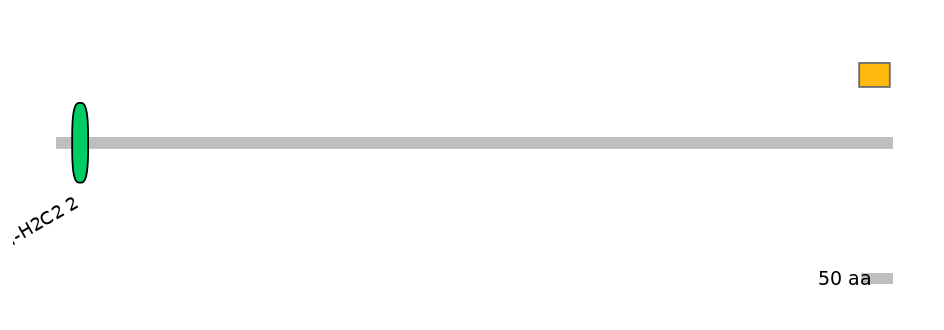 DreEX0037675-EXC