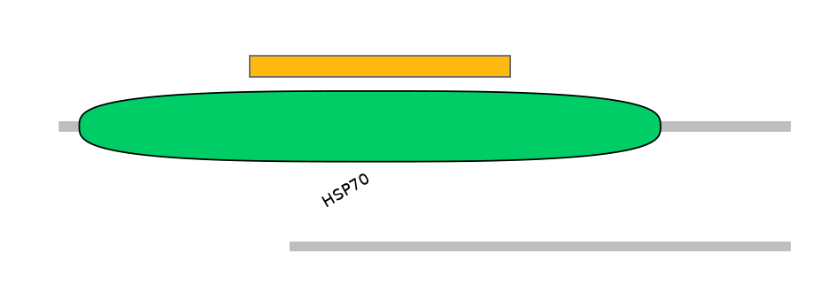 DreEX0038328-EXC