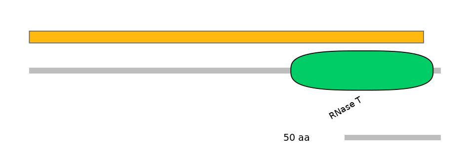 DreEX0039916-EXC