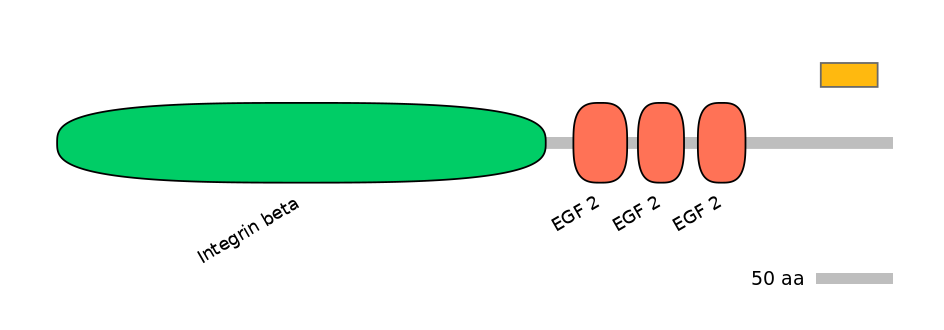 DreEX0040202-EXC