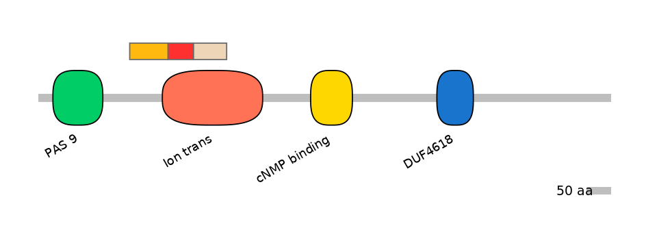 DreEX0040889-INC