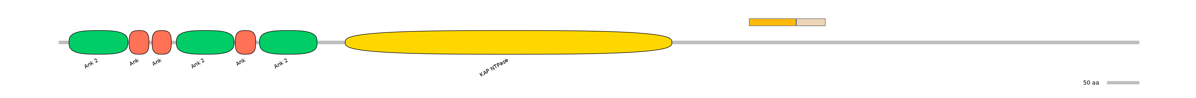 DreEX0041382-EXC