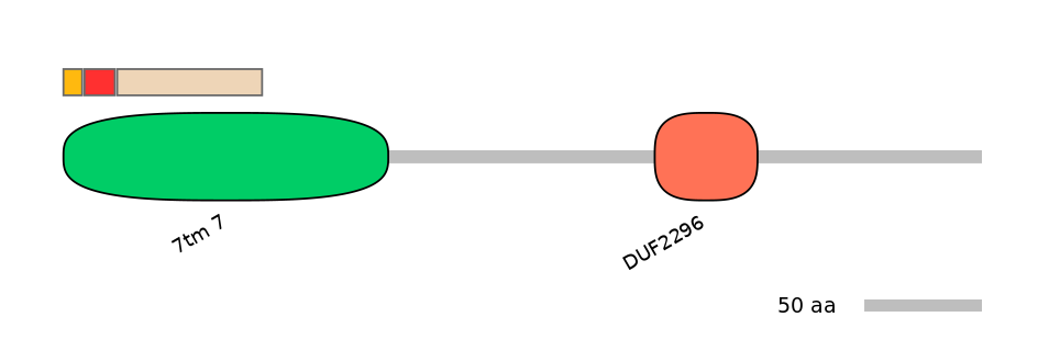DreEX0043333-INC