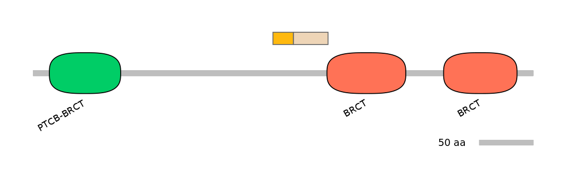 DreEX0045574-EXC