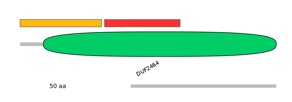 DreEX0048091-INC