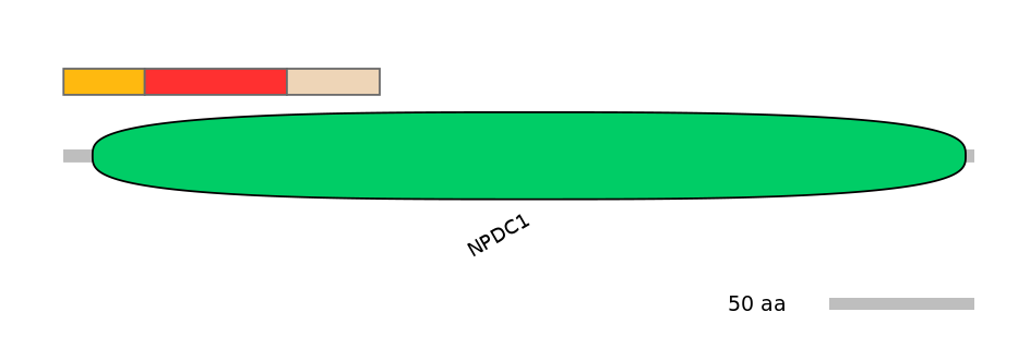 DreEX0051225-INC