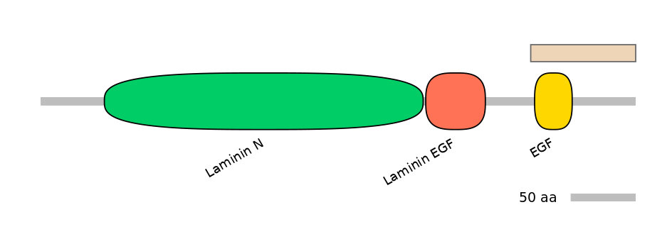 DreEX0051909-EXC