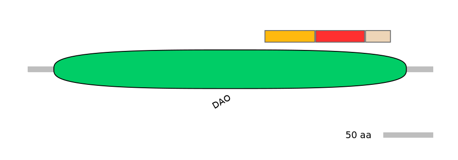 DreEX0055717-INC