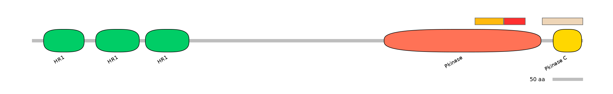 DreEX0055860-INC