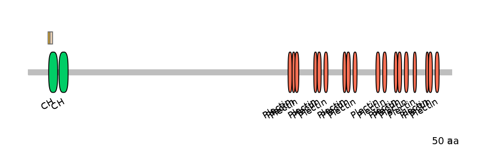 DreEX0056137-EXC