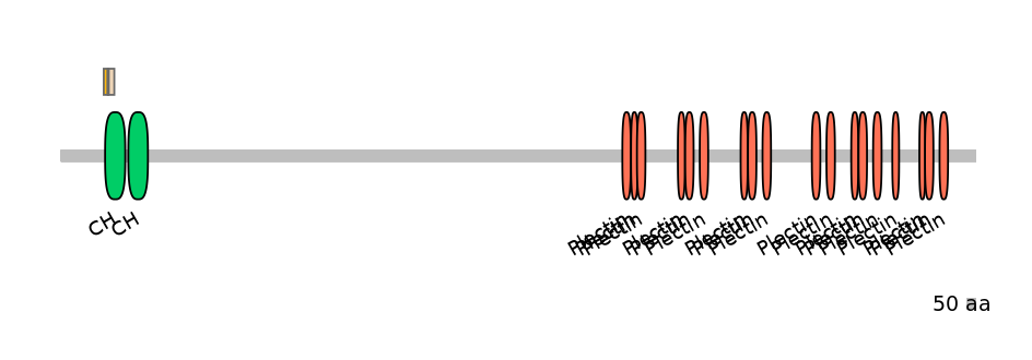 DreEX0056137-INC