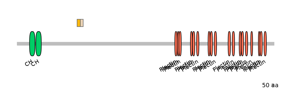 DreEX0056147-EXC