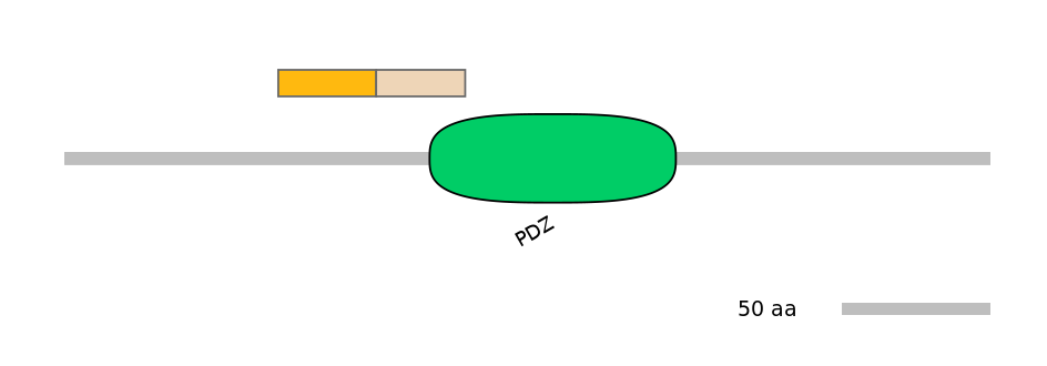 DreEX0059419-EXC