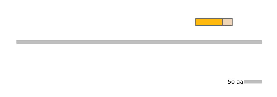 DreEX0060826-EXC