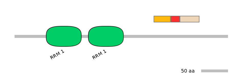 DreEX0061385-INC