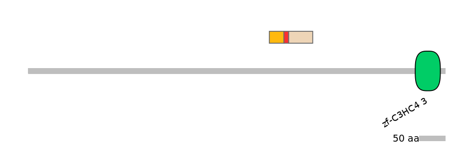 DreEX0062466-INC