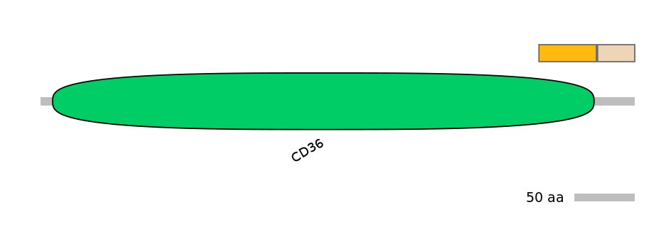 DreEX0064394-EXC
