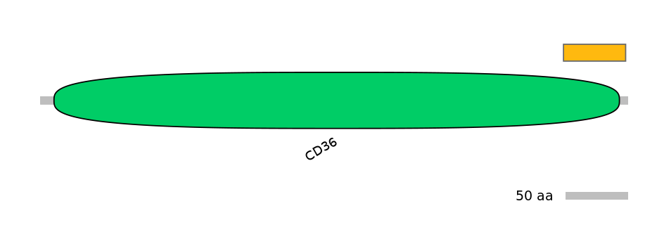 DreEX0064400-EXC