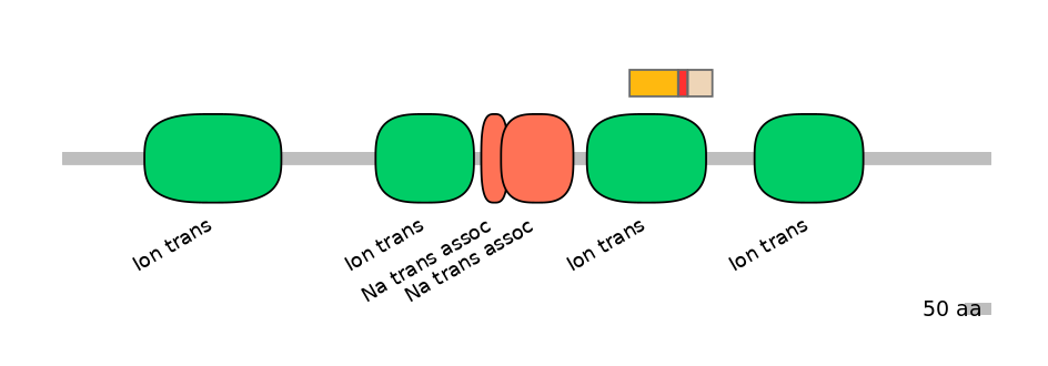 DreEX0064532-INC