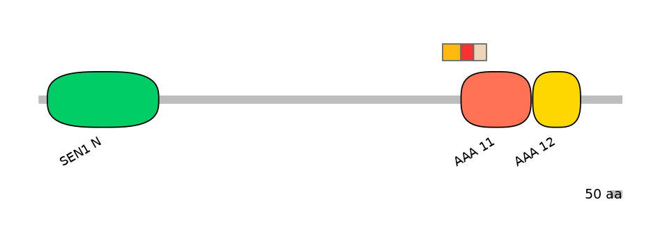 DreEX0065564-INC