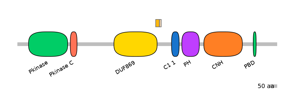 DreEX0068556-EXC