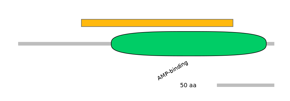DreEX0072439-EXC
