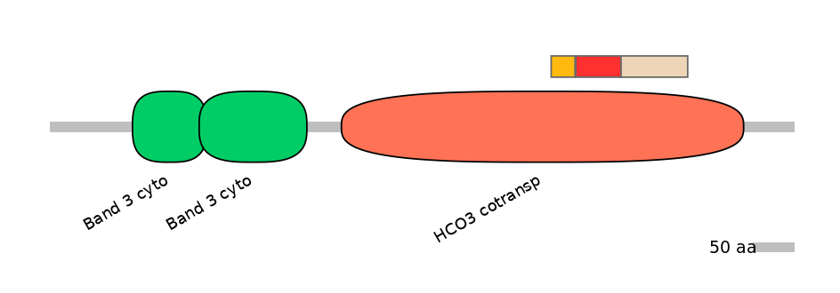 DreEX0073031-INC