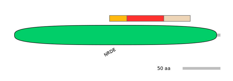 DreEX0077239-INC