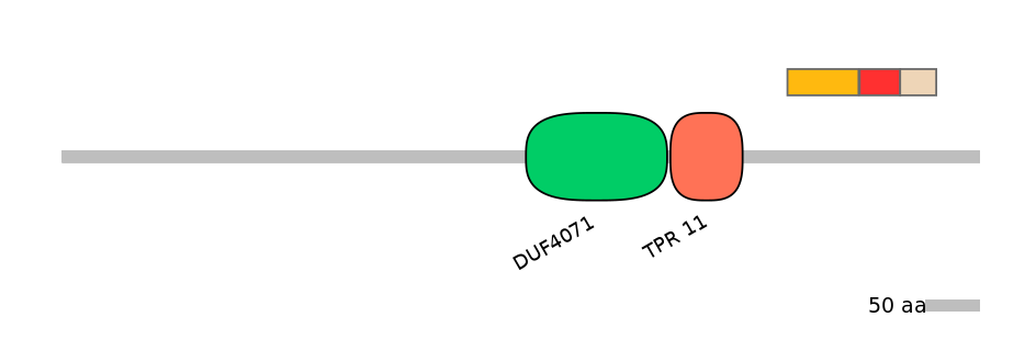 DreEX0081944-INC