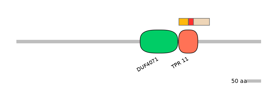 DreEX0081951-INC