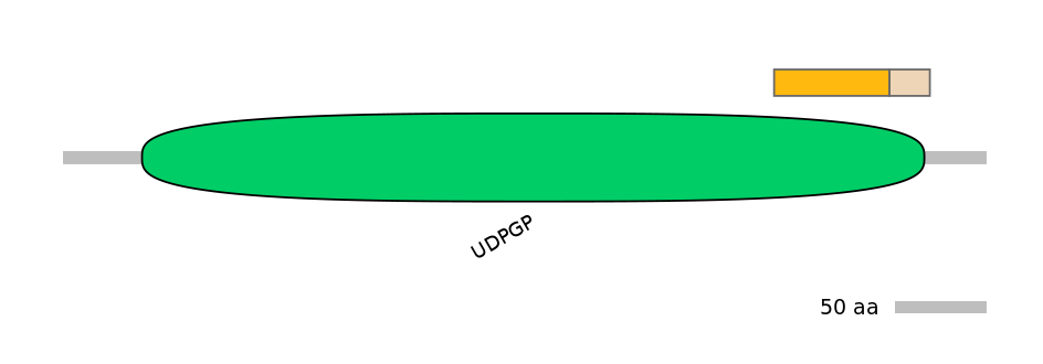 DreEX0082619-EXC