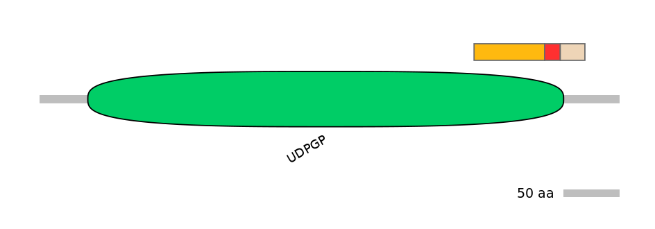 DreEX0082619-INC