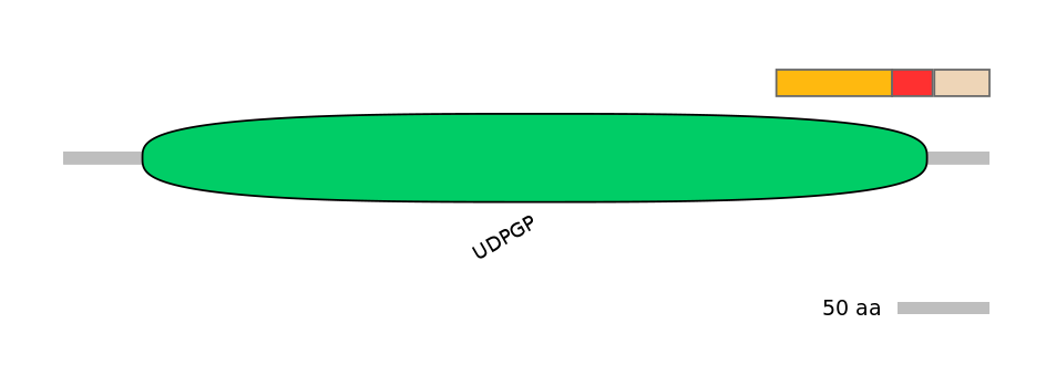 DreEX0082620-INC