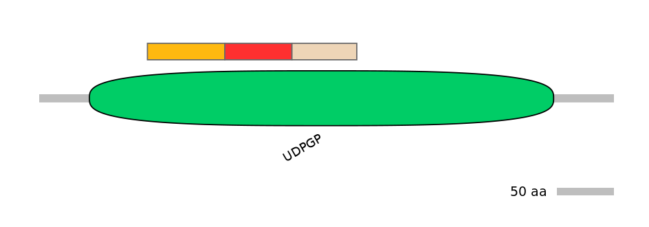 DreEX0082621-INC