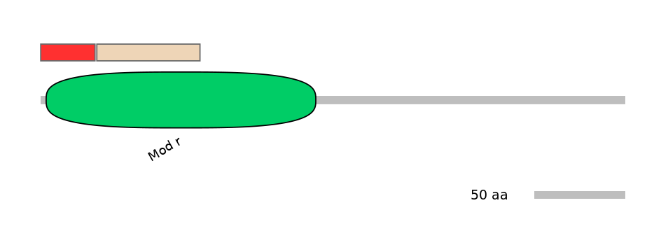 DreEX0084486-INC