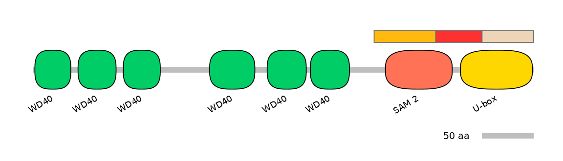 DreEX0085254-INC